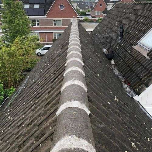 Dakinspectie Steenbergen aan de nokvorsten